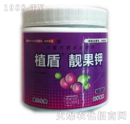 �n���-ֲ��-��?t��ng)����? style=