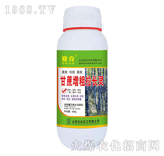 �����������L�`-ِ��-�_�_(d��)