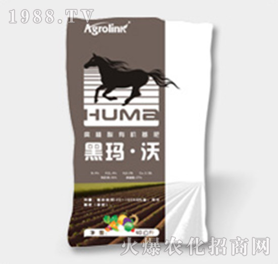 ��ֲ���ЙC(j��)����-�ڬ�����-�S(li��n)�r(n��ng)�I(y��)