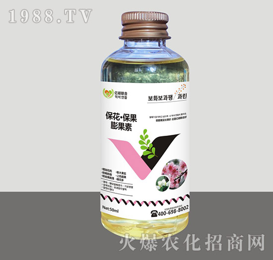 ���������������-�R�Sֲ��