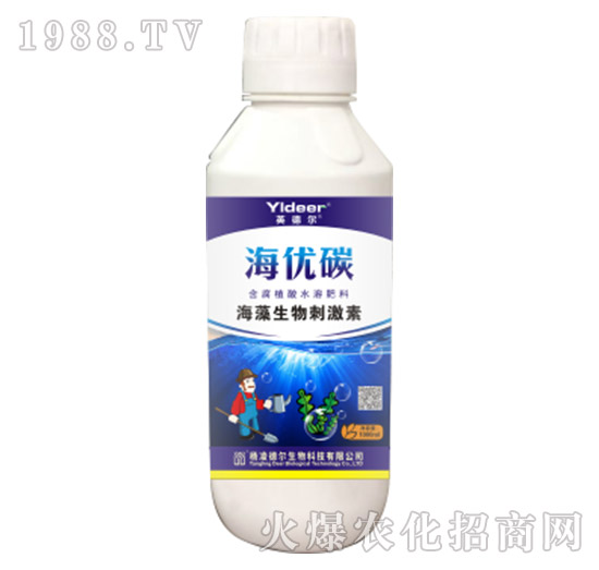 ��������̼���-����(y��u)̼-� �����