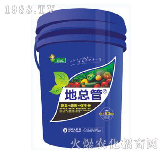 �ؿ���-������