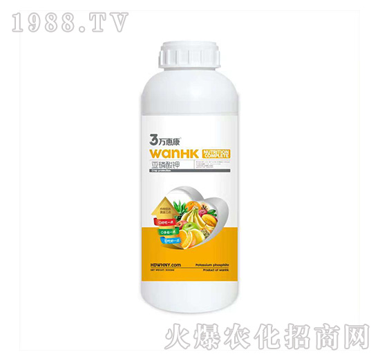 �������-�f(w��n)�ݿ�