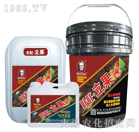 ���������-�~��������-������