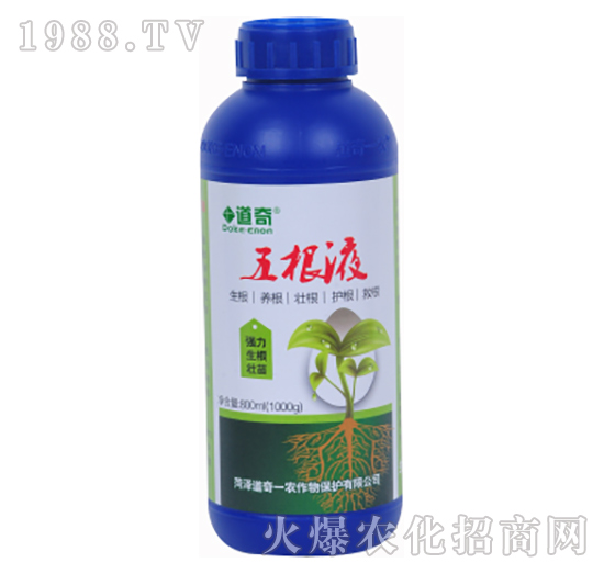 ���Һ��1000g��-����