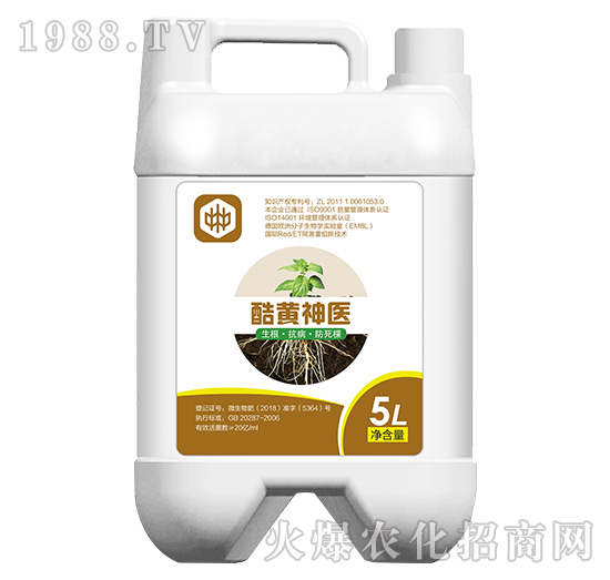 ���S���t(y��)�������������ã�-��ֲ(li��n)��