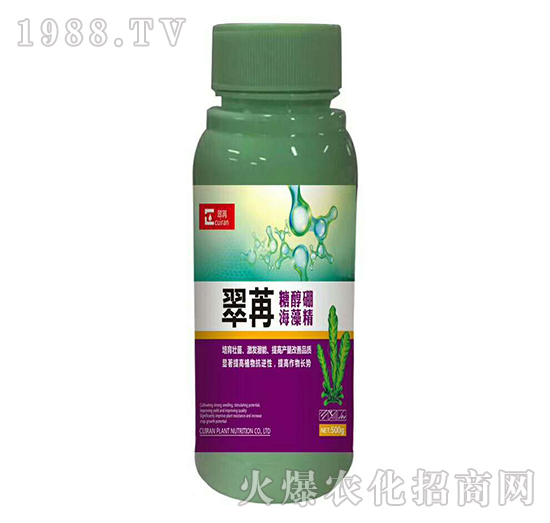 �����Ǵ���-��������