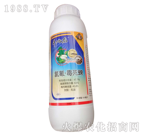 47.7%���衤������-������-�W�ρ�