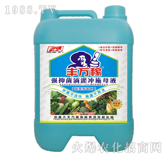 �߲ˌ��Ï�(qi��ng)�־��ι��_ʩĸҺ-�S�f(w��n)��