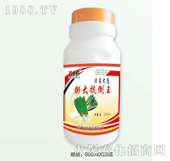 ��󿹵���-�²˴��[-��ʿ��