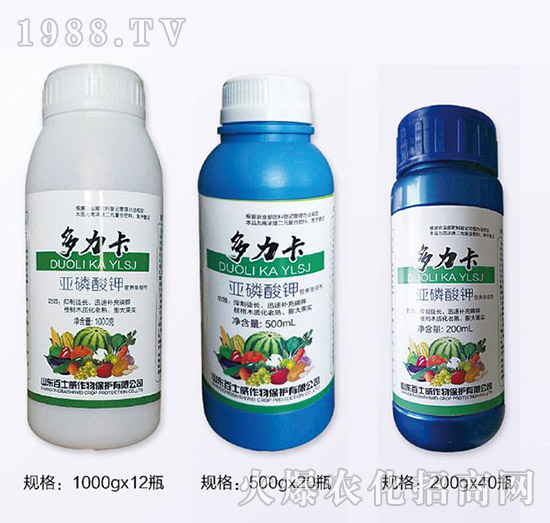 ���������������-��ʿ��