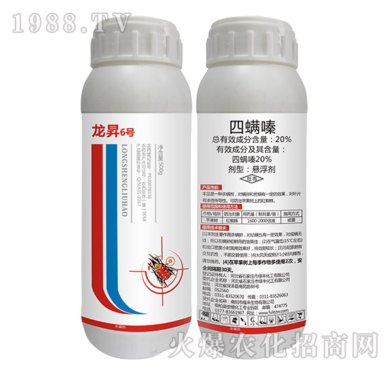 20%�����-���N6̖-���N����