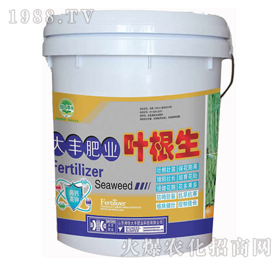 ���S�ʘI(y��)�~����-��@���S-���S�ʘI(y��)