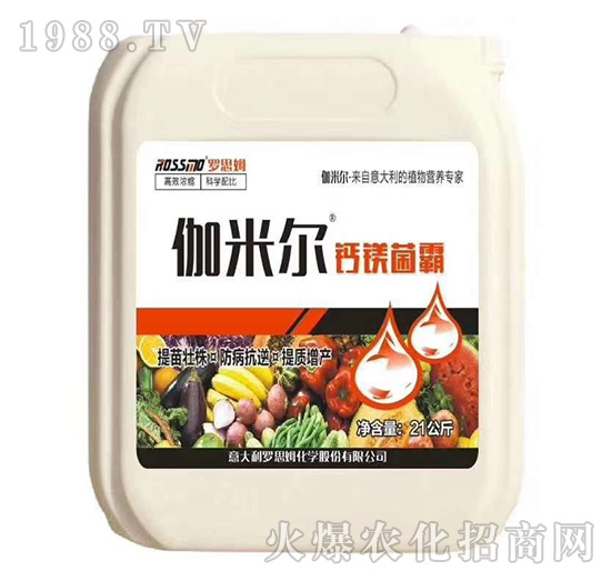 �}�V����-٤�נ�-ľ�̼ь�