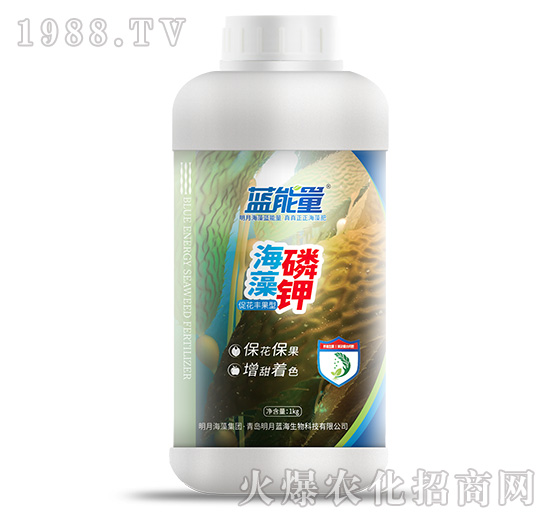 ������⛣�1kg��-�{����