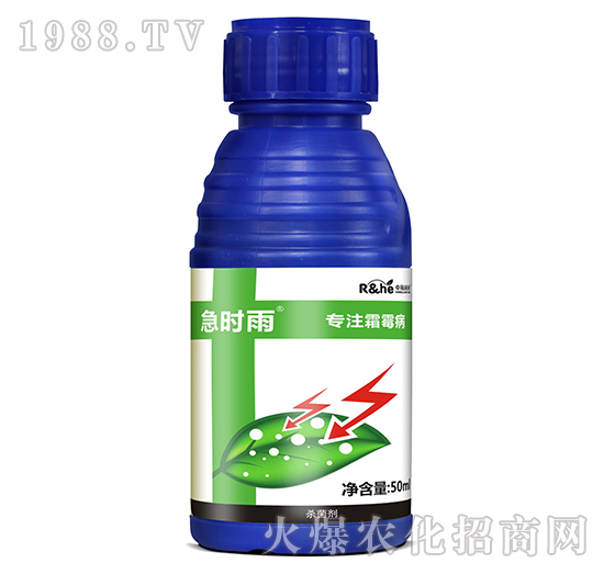 ˪ù�����Ú�����-���r��-�к�����