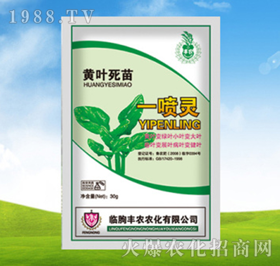 �S�~����һ���G-�S�r�r��