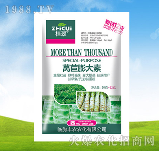 �n�������-ֲ��-�S�r�r��