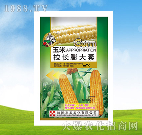 �������L�����-�S�r�r��