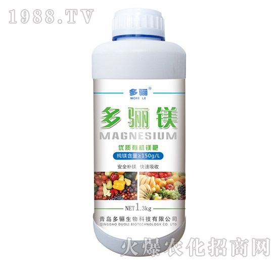 ���P�V��ƿ��-���P����