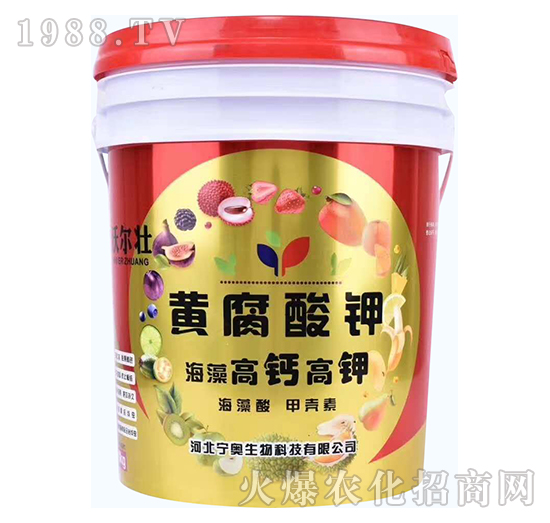 ������}���-�S�����-�֠���-���W����