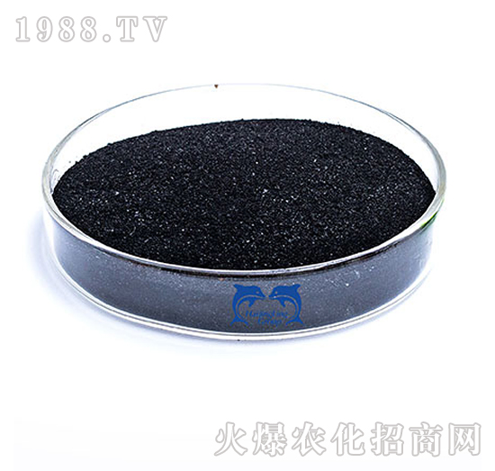 ��ֲ��-���L�`