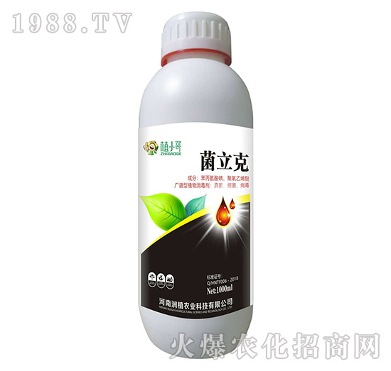 ������-��ֲ