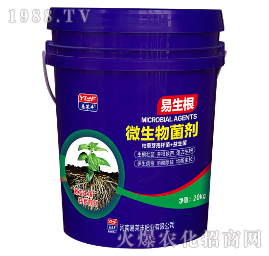 ΢�������-������-���R�S