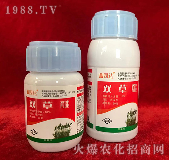 10%�p����-�����_(d��)-���_(d��)�r(n��ng)ˎ