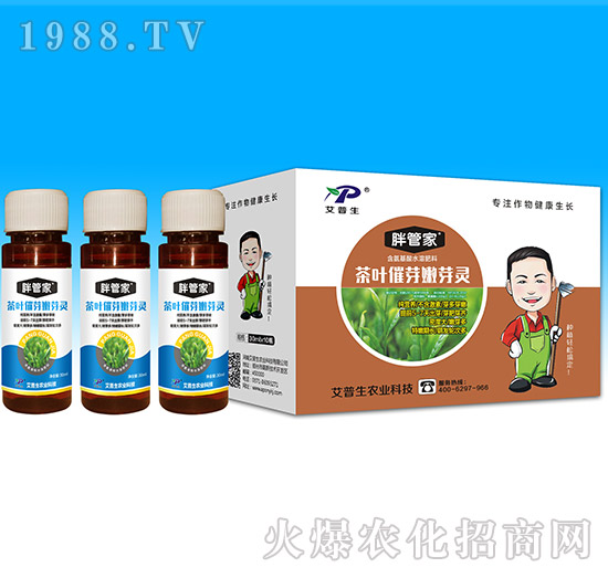 ���~��ѿ��ѿ�`-�ֹܼ�-������