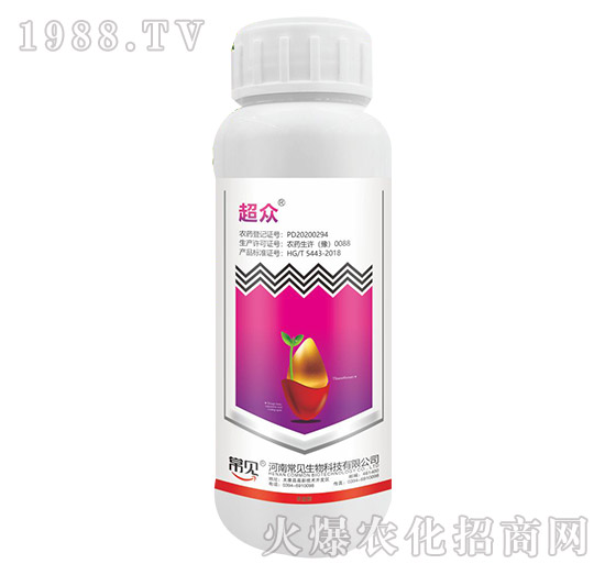 30%���x�-����-��Ҋ����