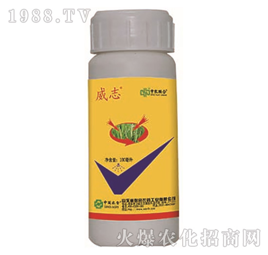 5%���S����-��־-���r��