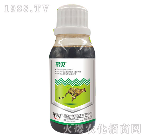 20%���ݿ�-��Ҋ(ji��n)-��ʯ����