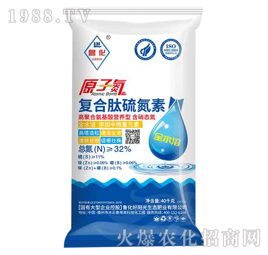 ԭ�ӵ��ͺ�����-����