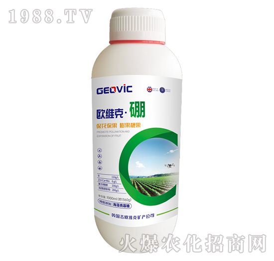 �W�S�ˡ���-�A�˱���