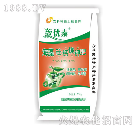 ������}�V⛷�-�S������