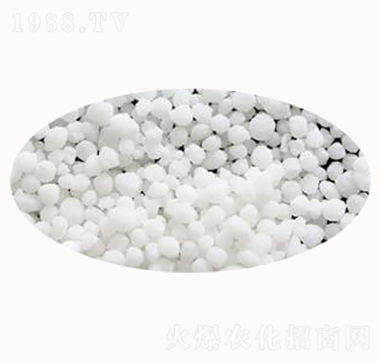 ���������@�}-����ʘI(y��)