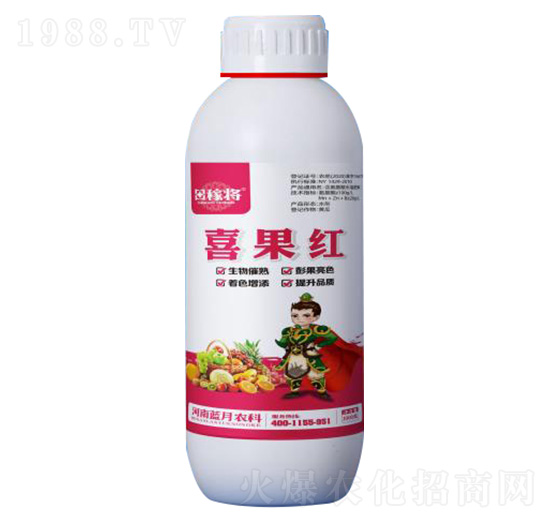 1000��ϲ���t-��ڌ�-�{���r��