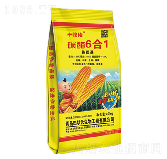 ���\�ͺϷ���-̼ø6��1-�S����-���Ԫ����