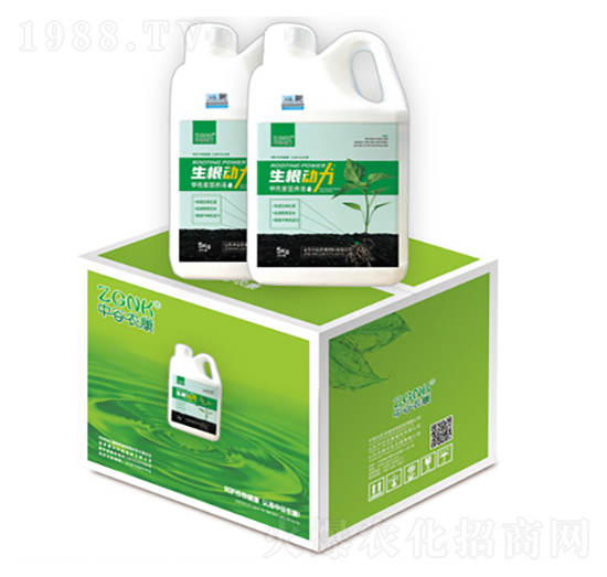 �ך��ؠI�B(y��ng)��-��������-�r���r�I(y��)