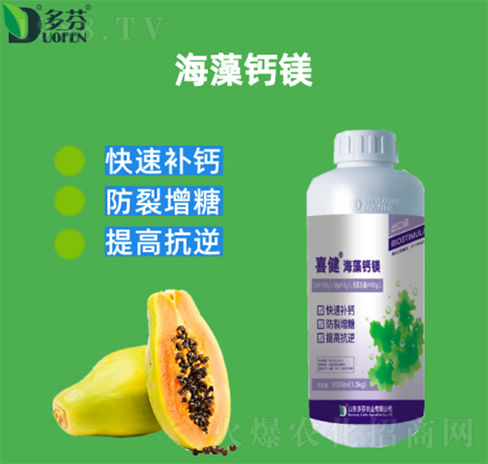 �����}�V-ϲ��-����r(n��ng)�I(y��)