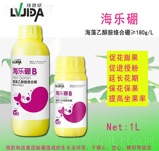 ������-������