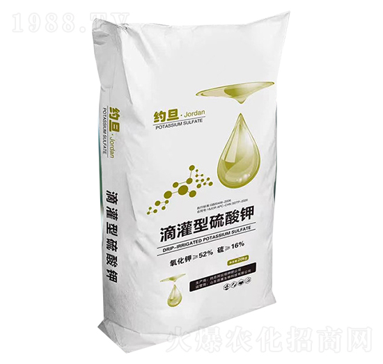 �ι��������-�s��-�︦����