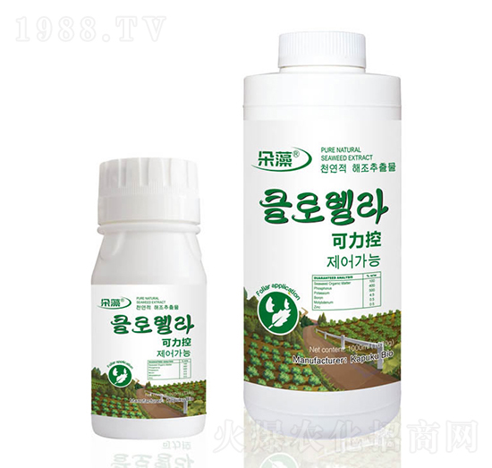 �������~���-����-���Վ�(k��)����