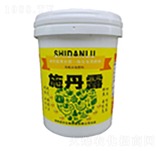 ʩ��¶-�����r��