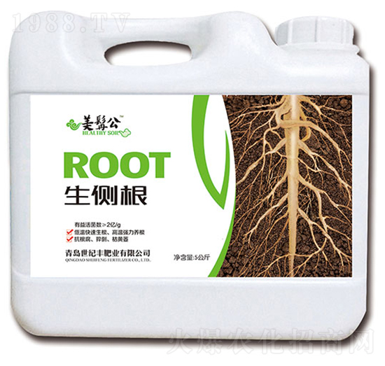 ����(c��)��-���׹�-���o(j��)�S