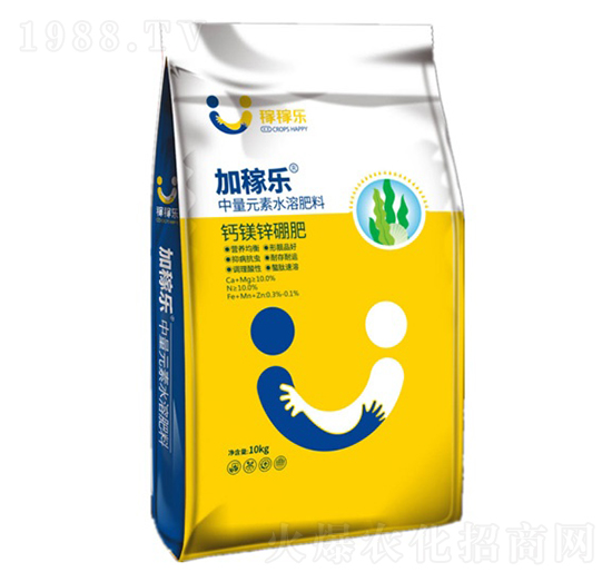 �}�V���\��-�ڼژ�