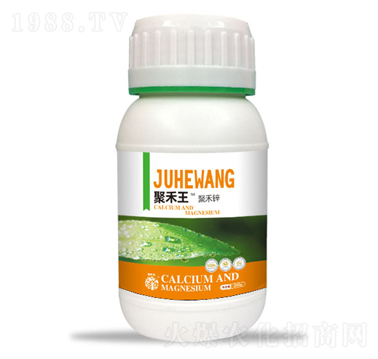 �ۺ��\-�ۺ���-����Ȼ