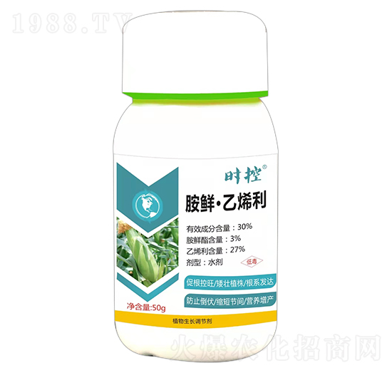 ���r����ϩ��-�r(sh��)��-��ɭ��