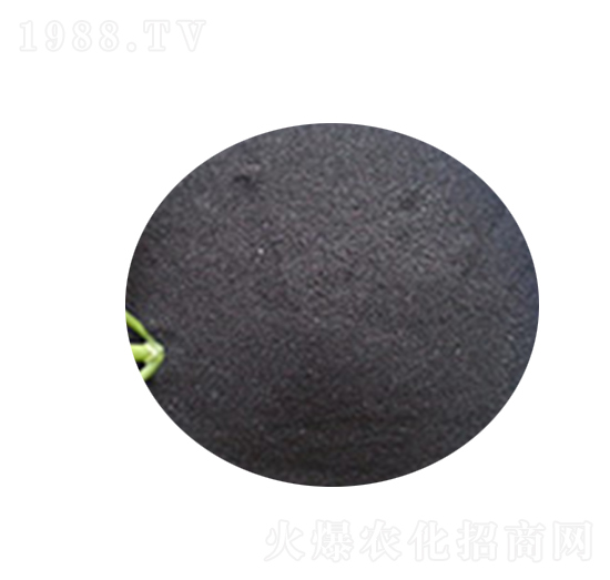 ��ֲ��⛷�ĩ-�AԴ��ֳ��